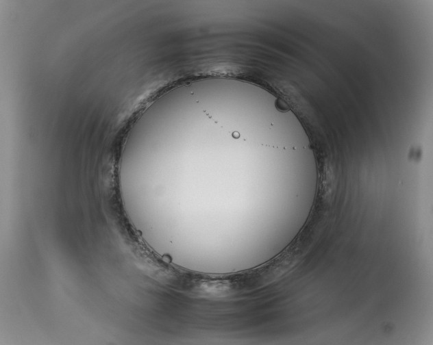 X0000114010355200910231820