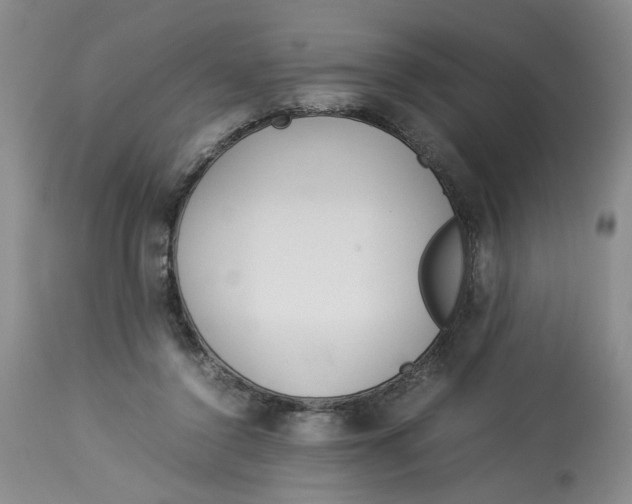 X0000114010356200910231820