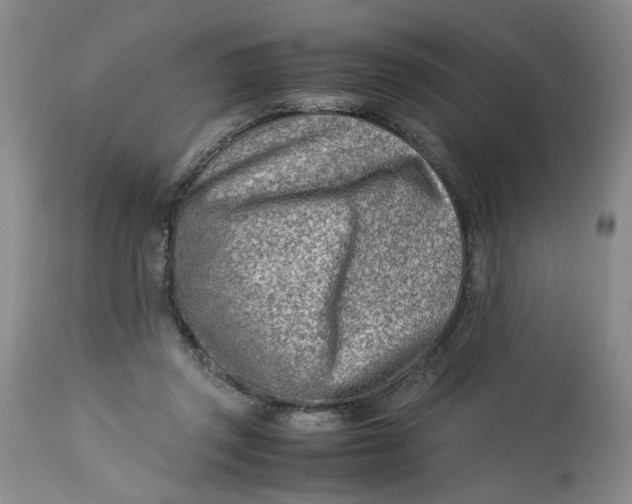 X0000114010357200910231820