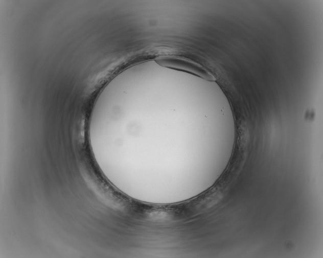 X0000114010358200910231820