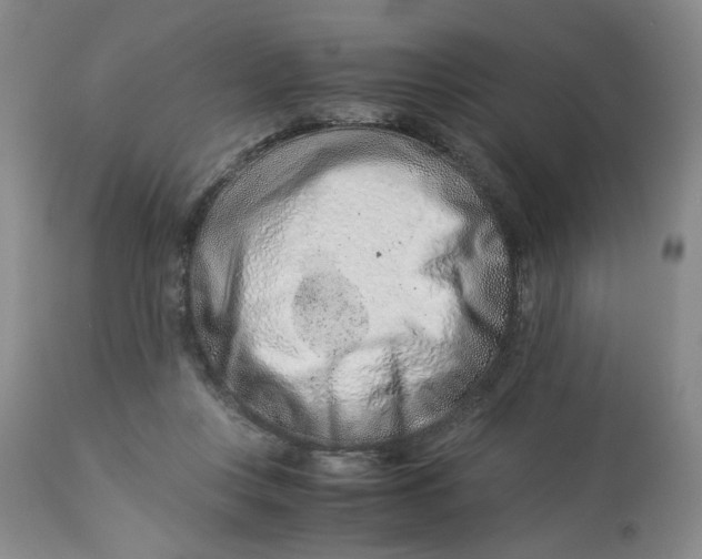 X0000114010359200910231820