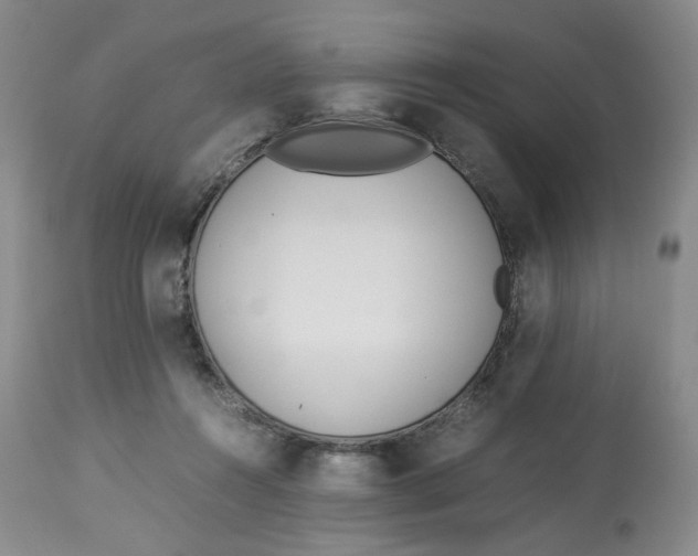 X0000114010360200910231820