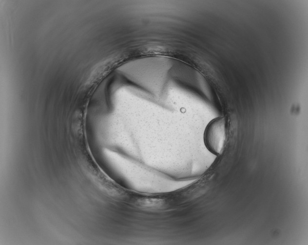 X0000114010361200910231820