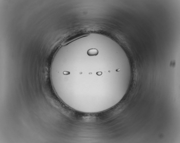 X0000114010362200910231820