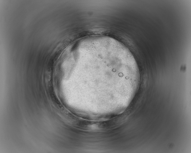 X0000114010365200910231820