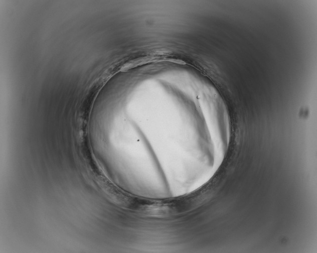 X0000114010366200910231820