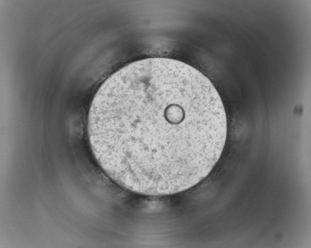 X0000114010370200910231820