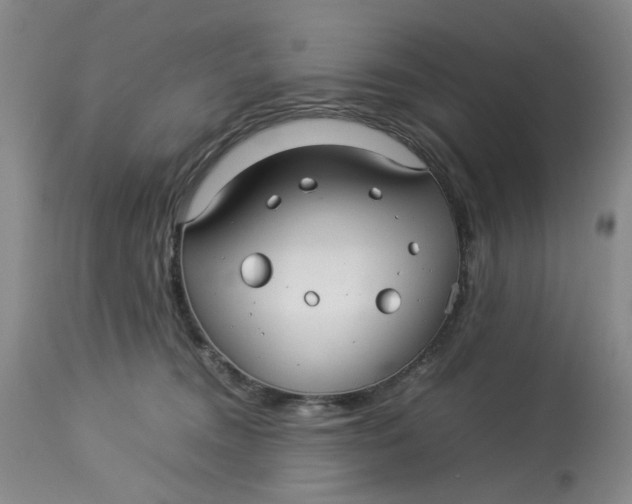 X0000114010372200910231820