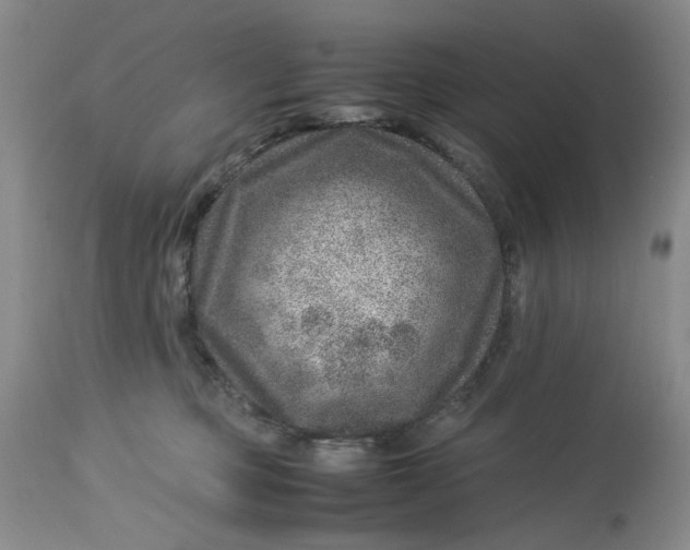 X0000114010373200910231820