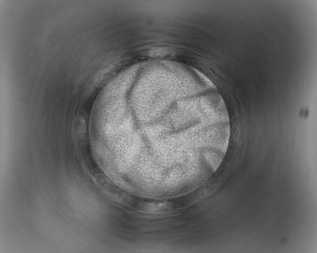 X0000114010375200910231820