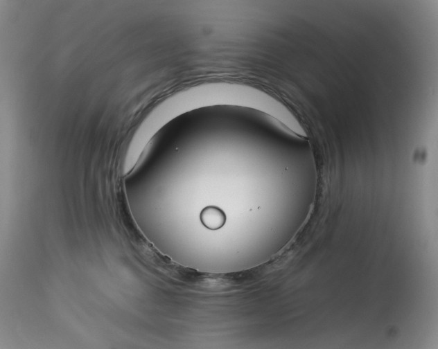 X0000114010376200910231820