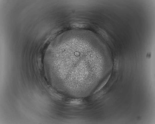 X0000114010377200910231820