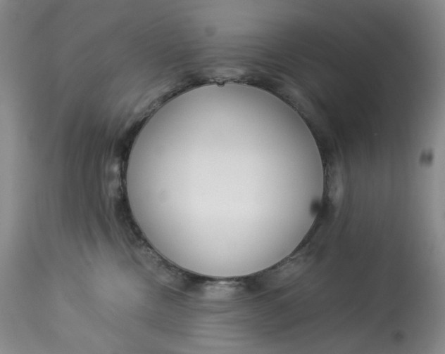 X0000114010378200910231820