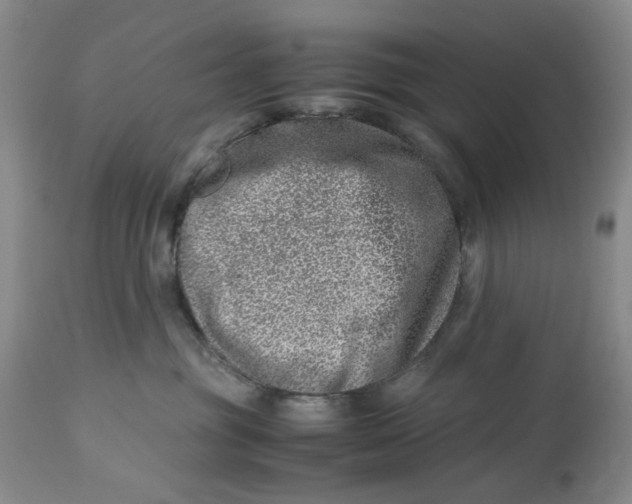 X0000114010381200910231820