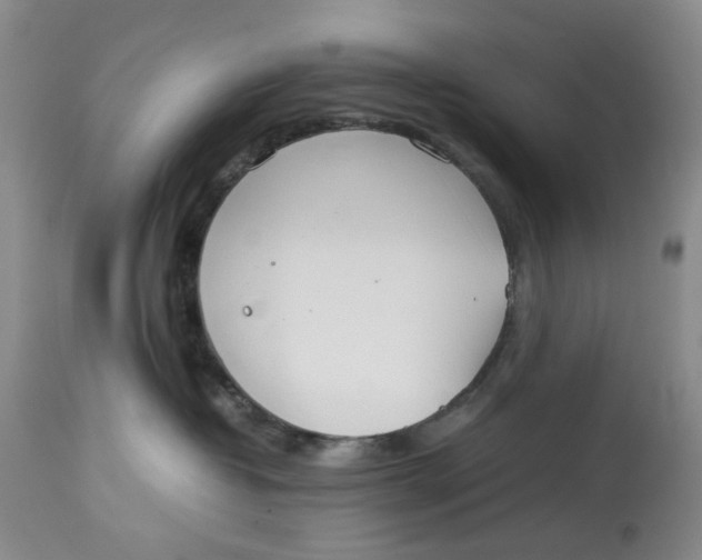 X0000114010382200910231820