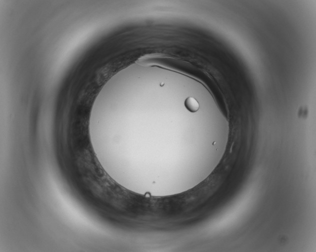 X0000114010383200910231820