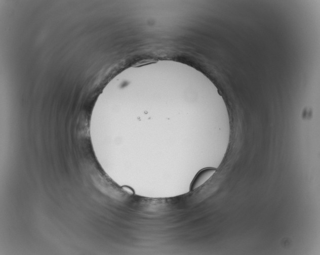 X0000114010384200910231820