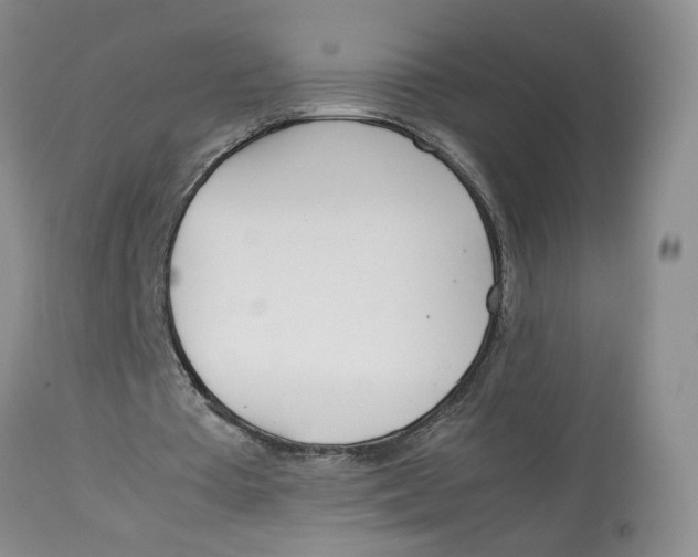 X0000114010385200910231820