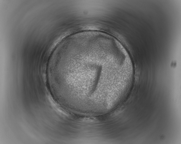 X0000114010386200910231820