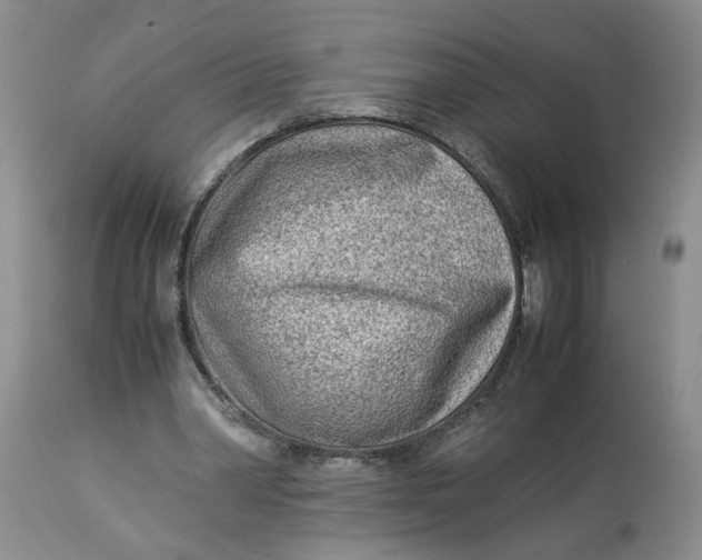 X0000114010390200910231820