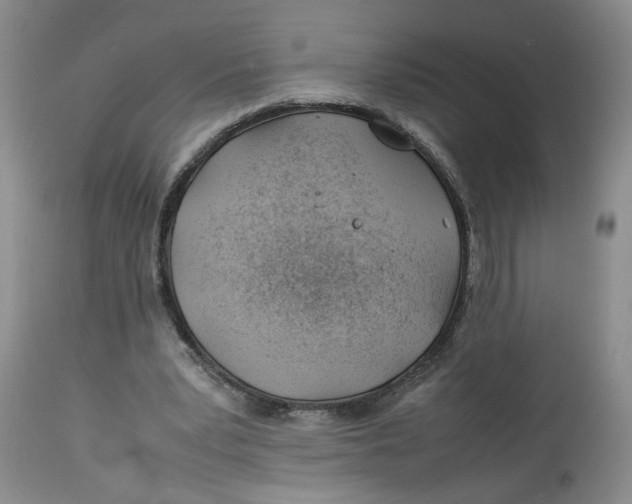 X0000114010391200910231820