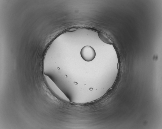 X0000114010393200910231820