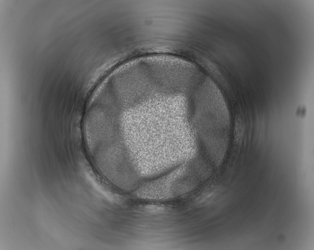 X0000114010394200910231820