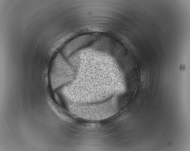 X0000114010398200910231819