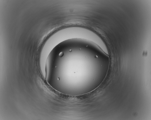 X0000114010399200910231819