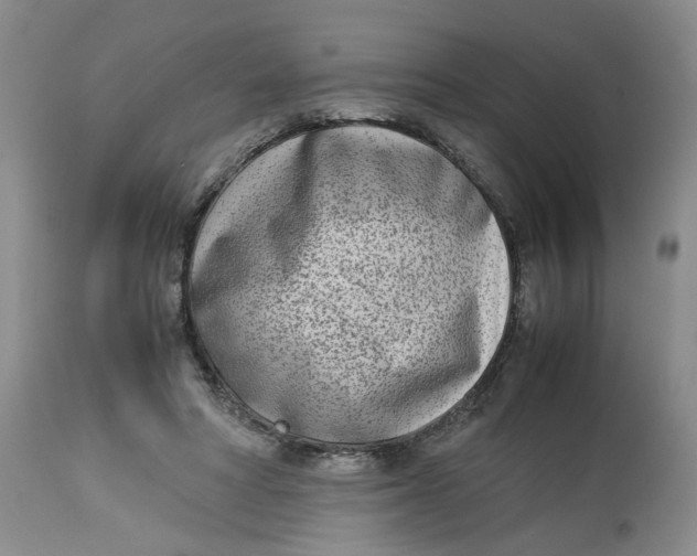 X0000114010402200910231819