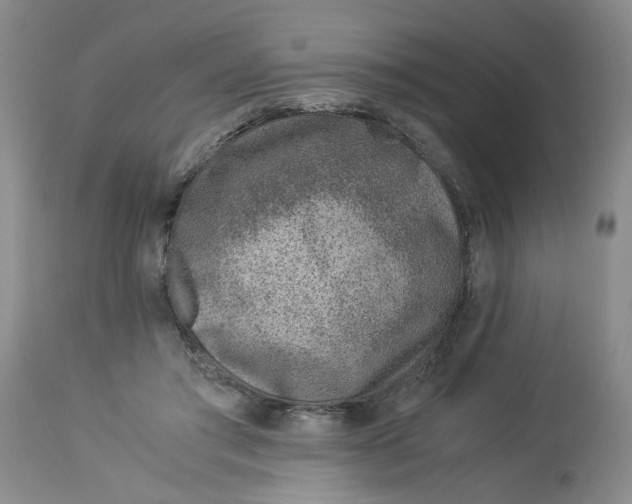 X0000114010405200910231819