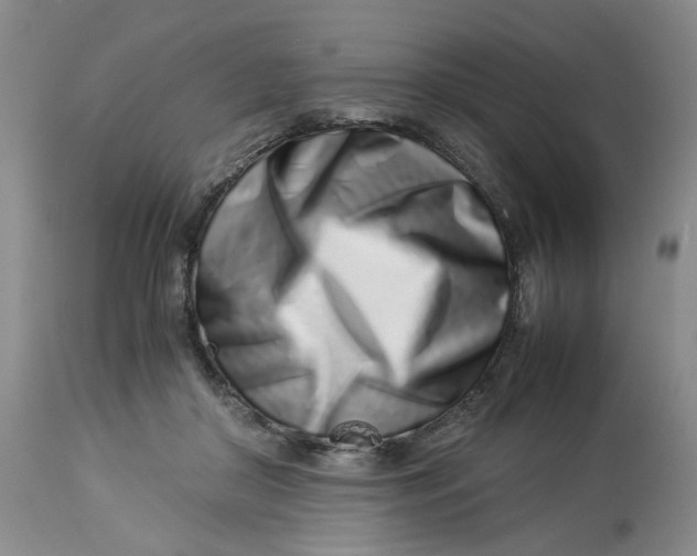 X0000114010410200910231819