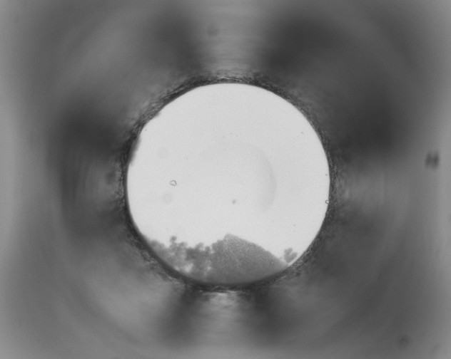 X0000114010411200910231819