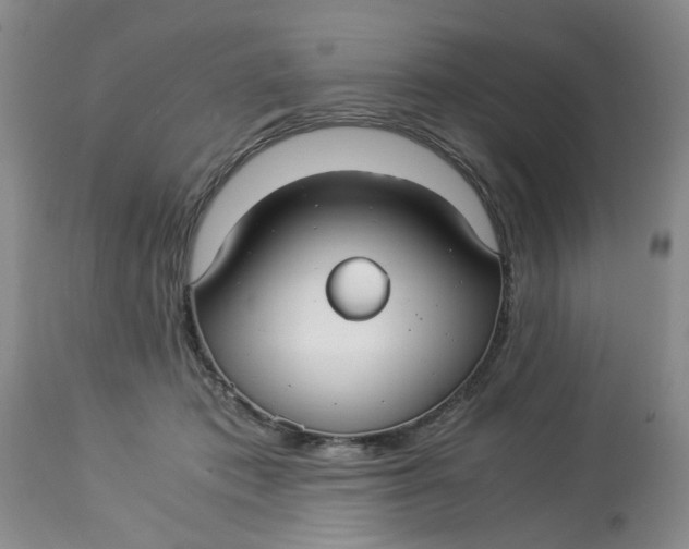 X0000114010413200910231819