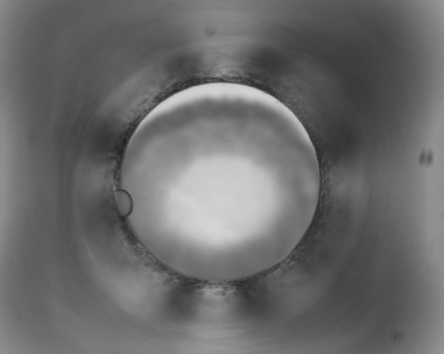 X0000114010415200910231819