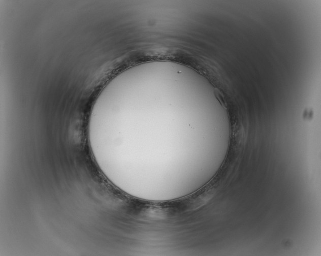 X0000114010416200910231819