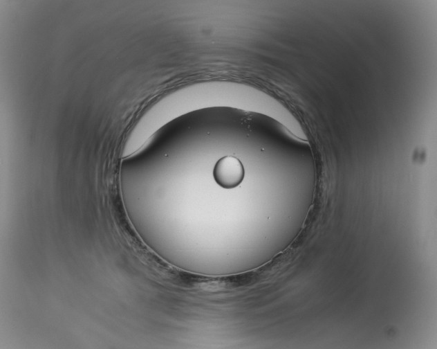 X0000114010417200910231819