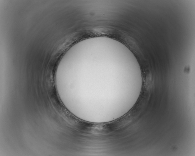 X0000114010418200910231819