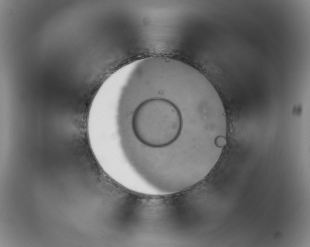 X0000114010419200910231819