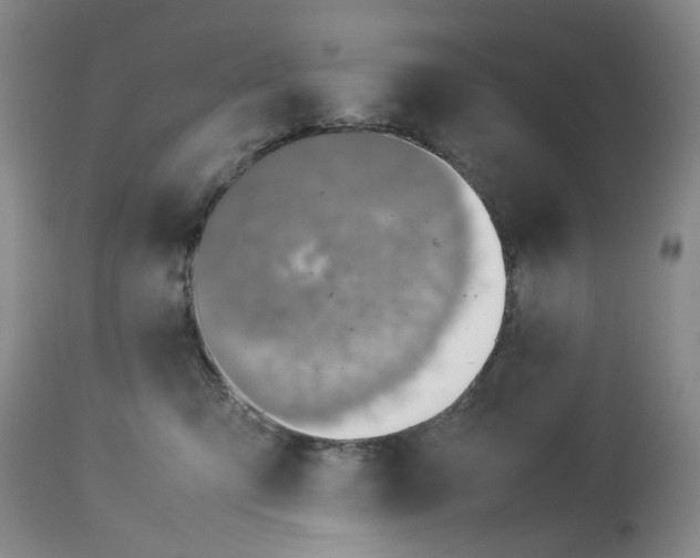 X0000114010423200910231819