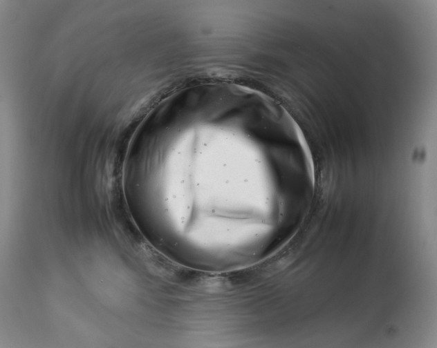 X0000114010424200910231819