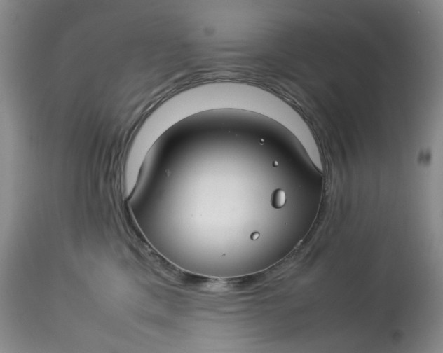 X0000114010425200910231819