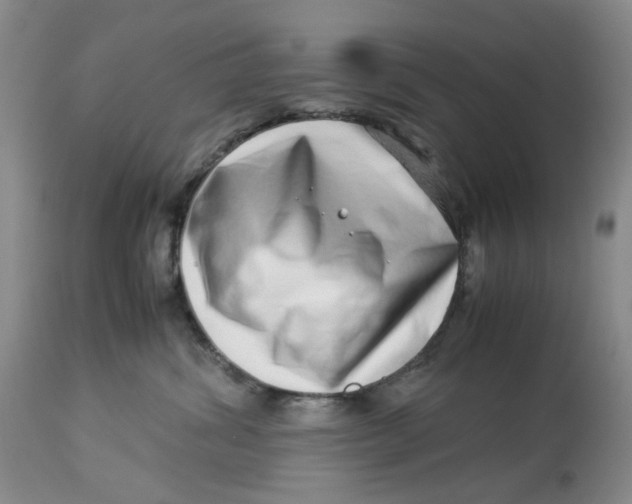 X0000114010428200910231819