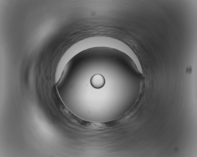 X0000114010429200910231819