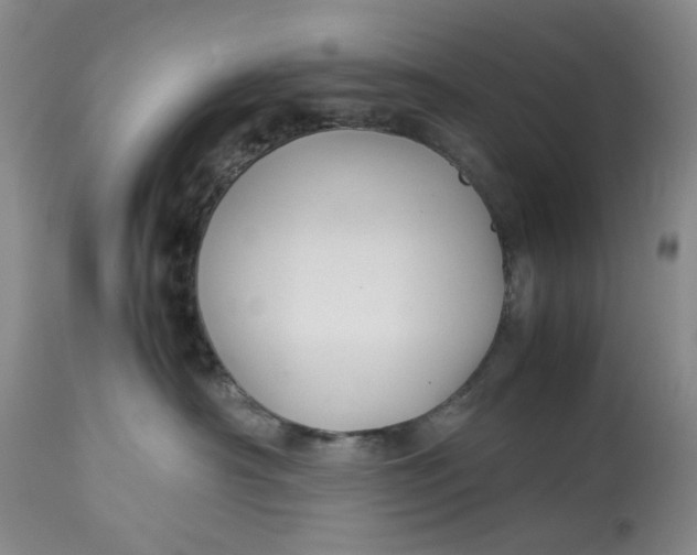 X0000114010430200910231819