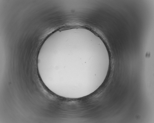 X0000114010433200910231818