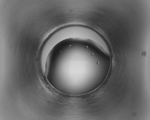 X0000114010436200910231818