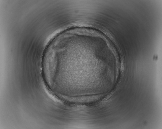 X0000114010438200910231818