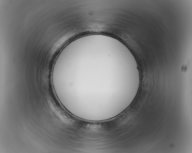 X0000114010440200910231818