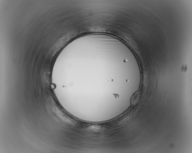 X0000114010441200910231818